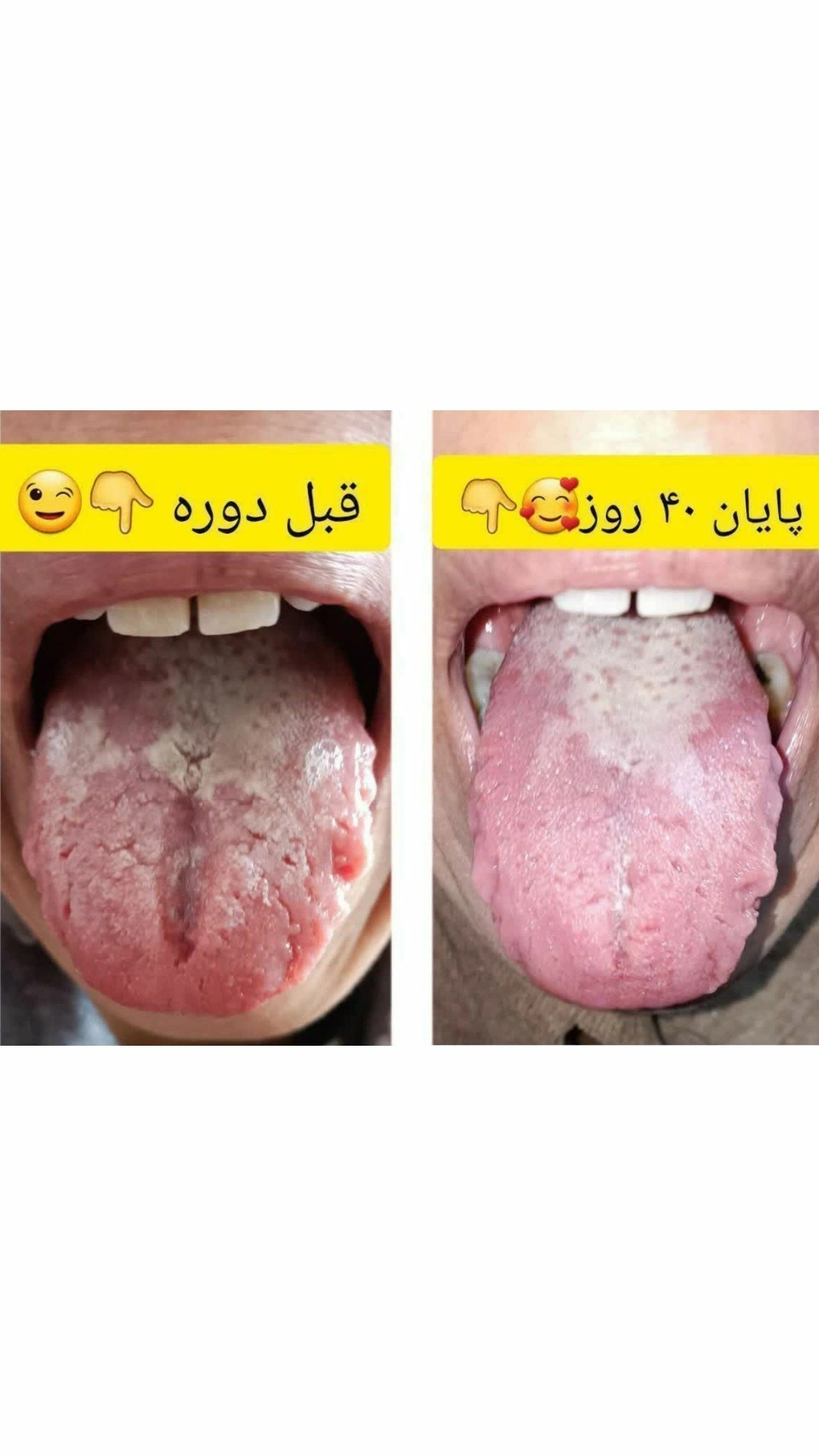 زبان شناسی و اصلاح سبک زندگی