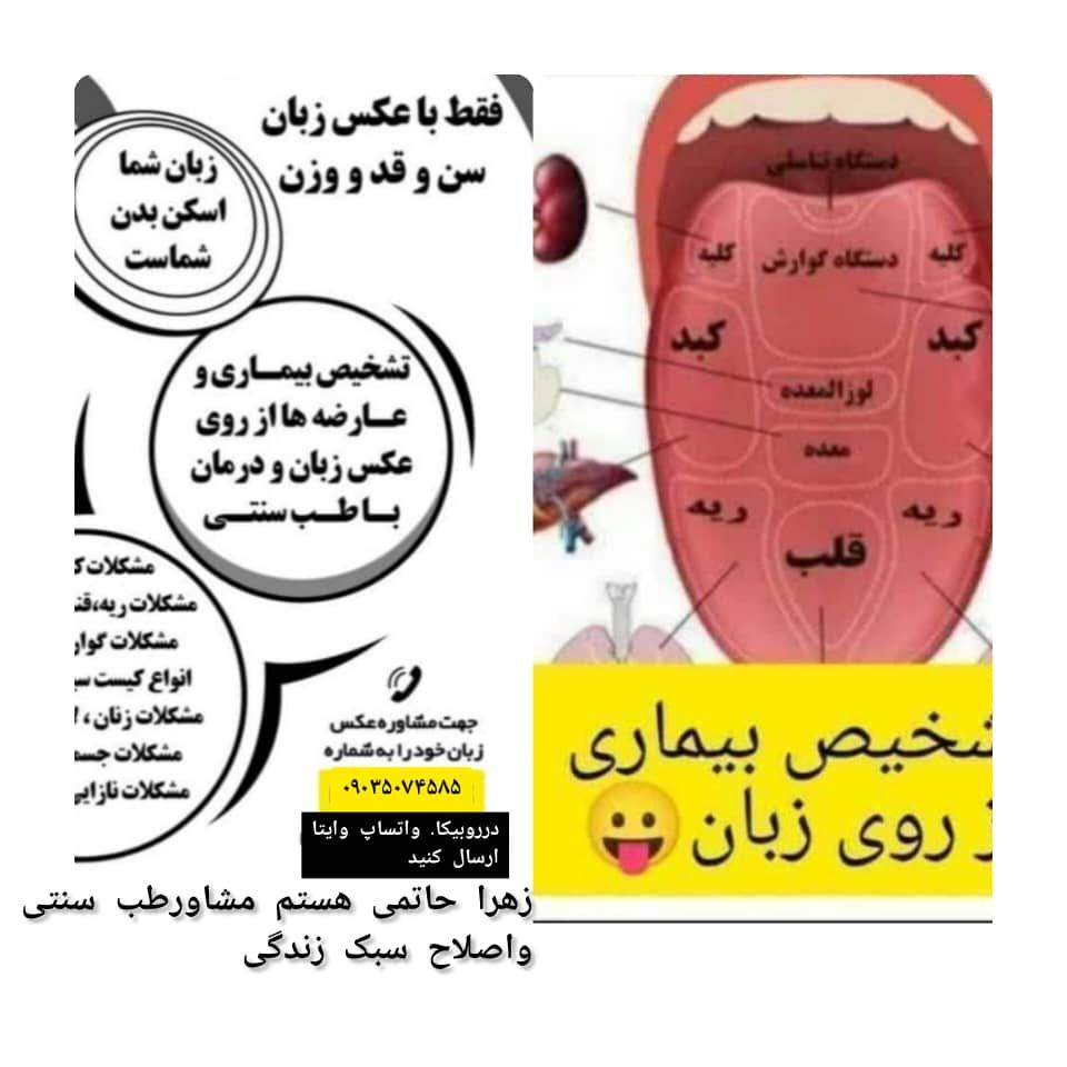 زبان شناسی و اصلاح سبک زندگی