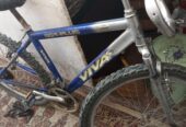 دوچرخه ویوا۲۶