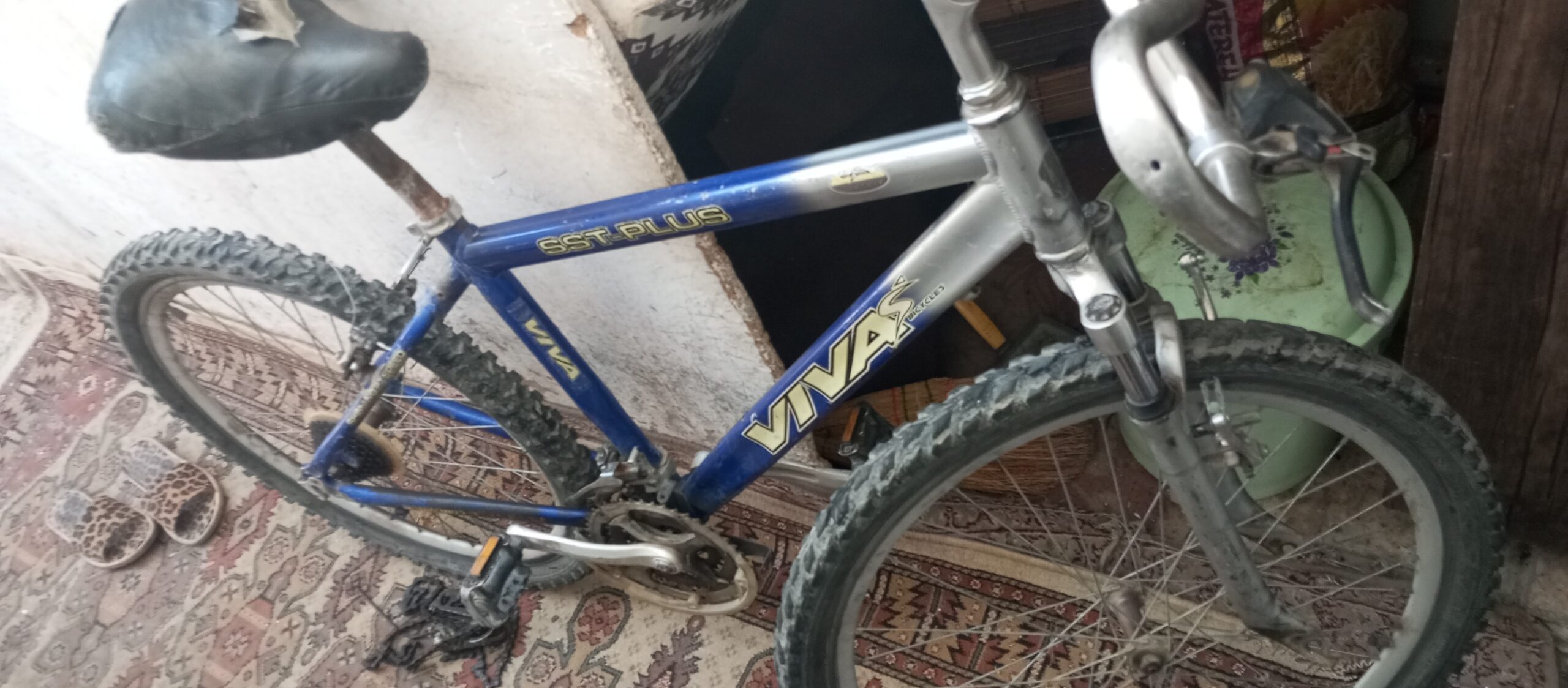 دوچرخه ویوا۲۶