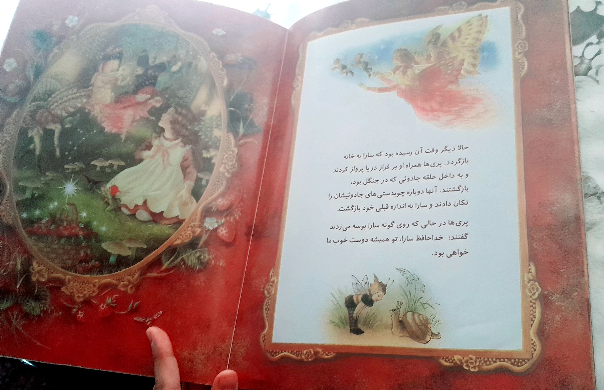 کتاب داستان جنگل سحر آمیز