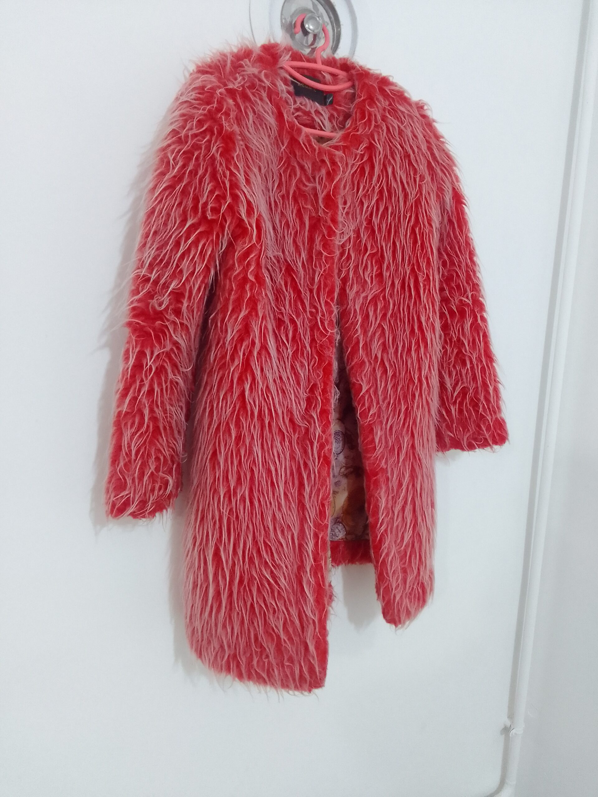 پالتو خزدار