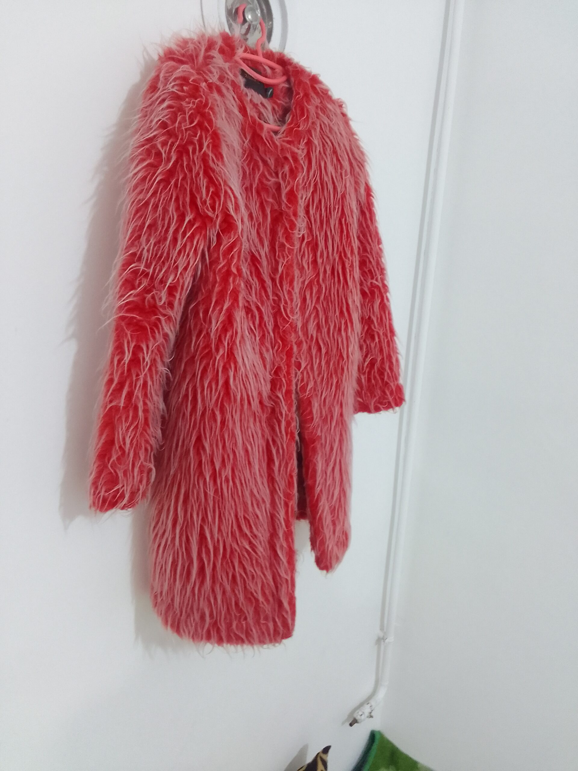 پالتو خزدار