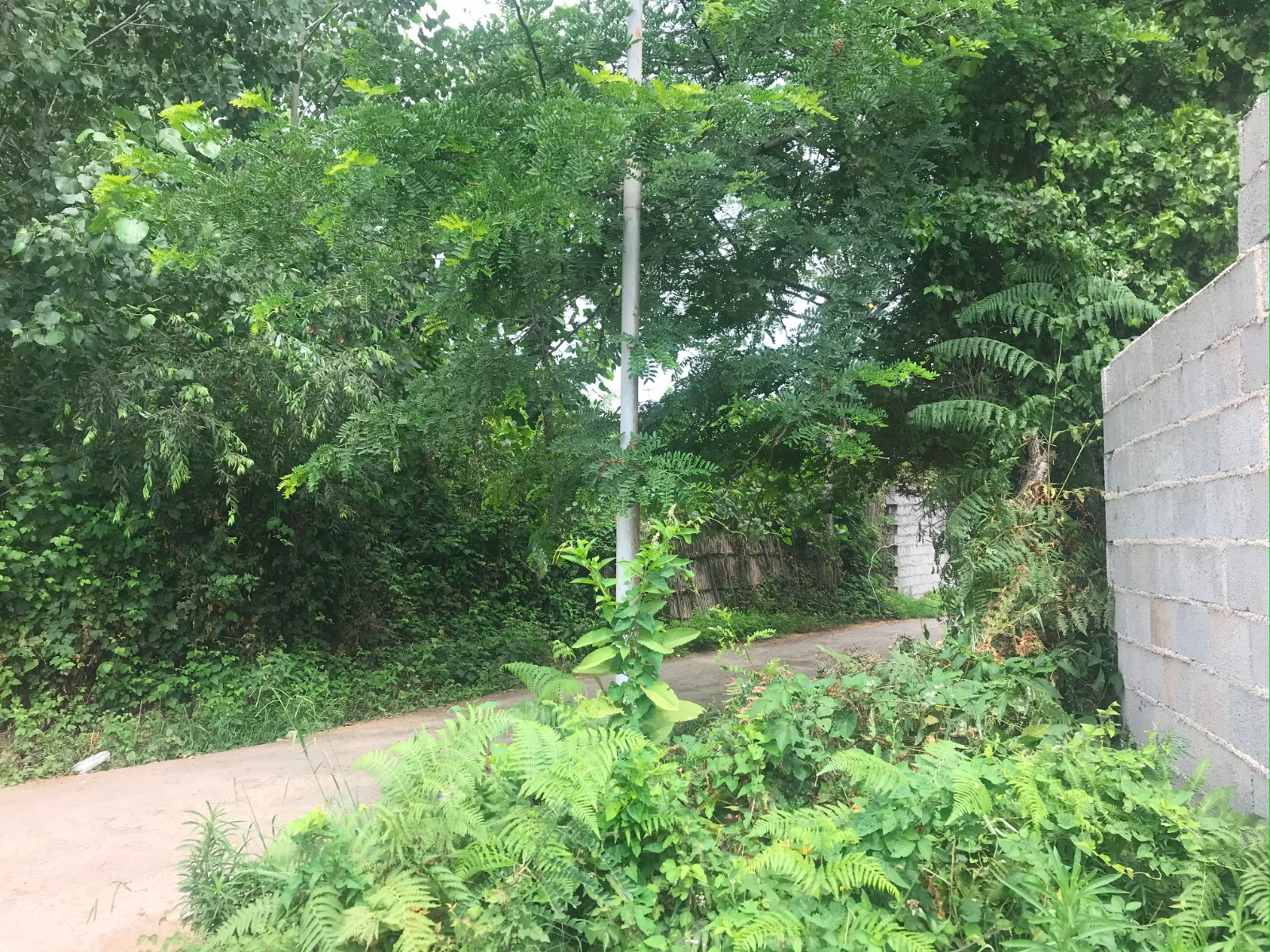 ۲۰۰۰متر زمین کاملا مسکونی در قرابا( صومعه سرا, ضیابر)