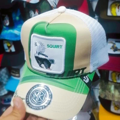 IMG_20250717_202028_138