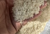 برنج شمال هاشمی کشت اول