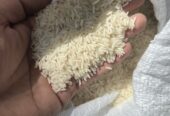 برنج شمال هاشمی کشت اول