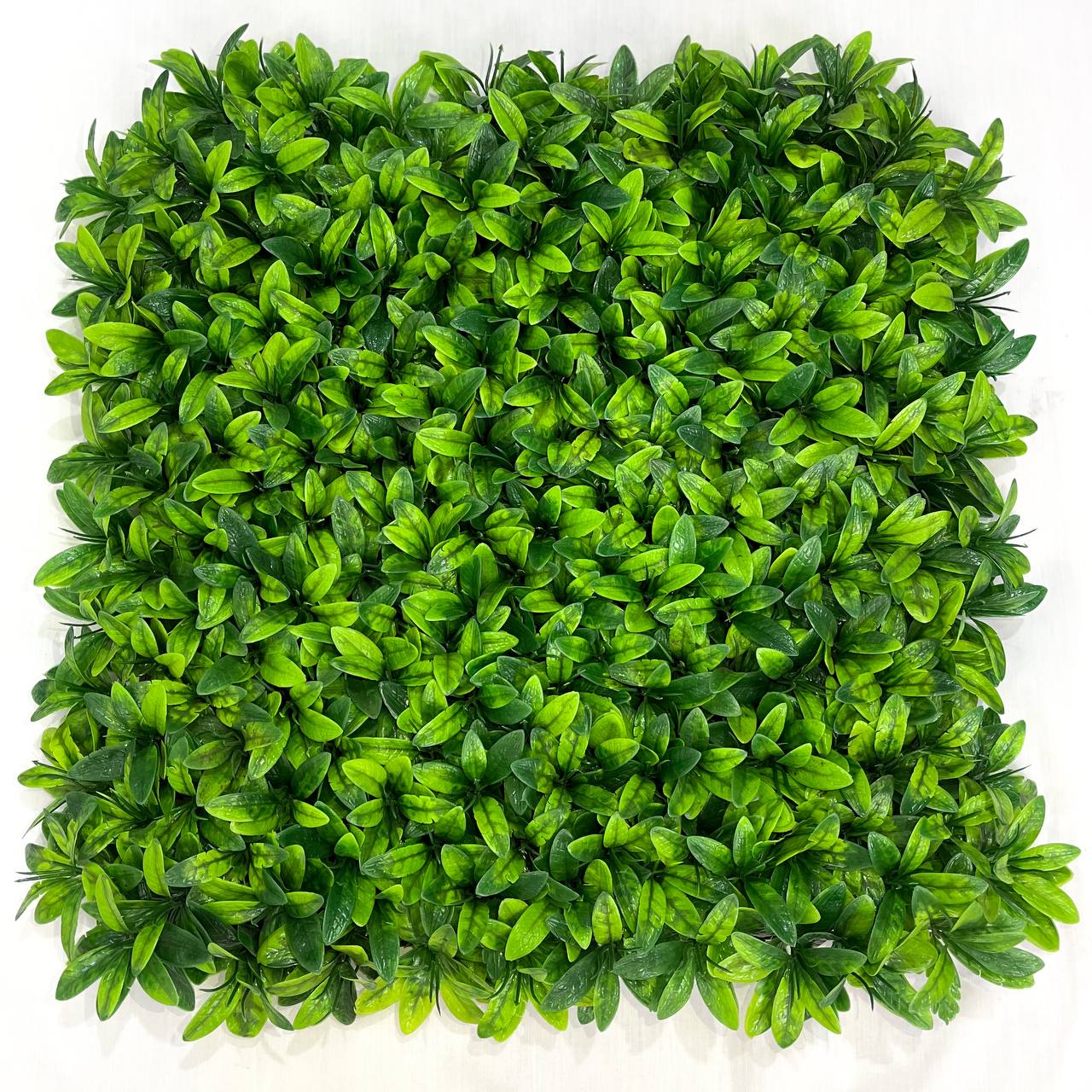 گرین وال مصنوعی / کلی و جزئی