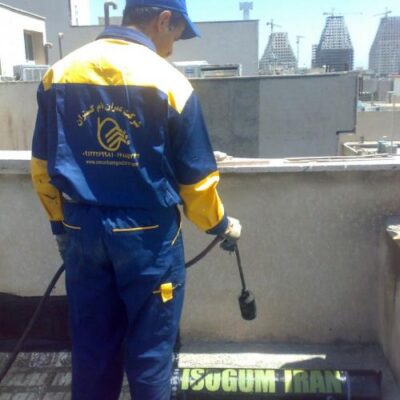 2434820_8X62Vh_r_m-1