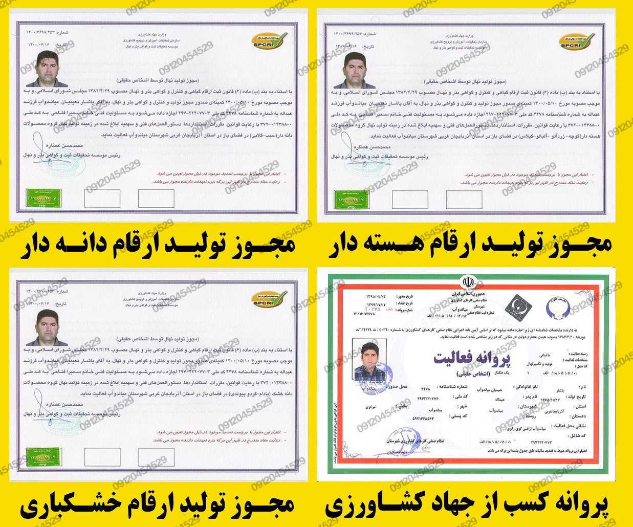 فروش ویژه نهال گردو ژنوتیپ برتر