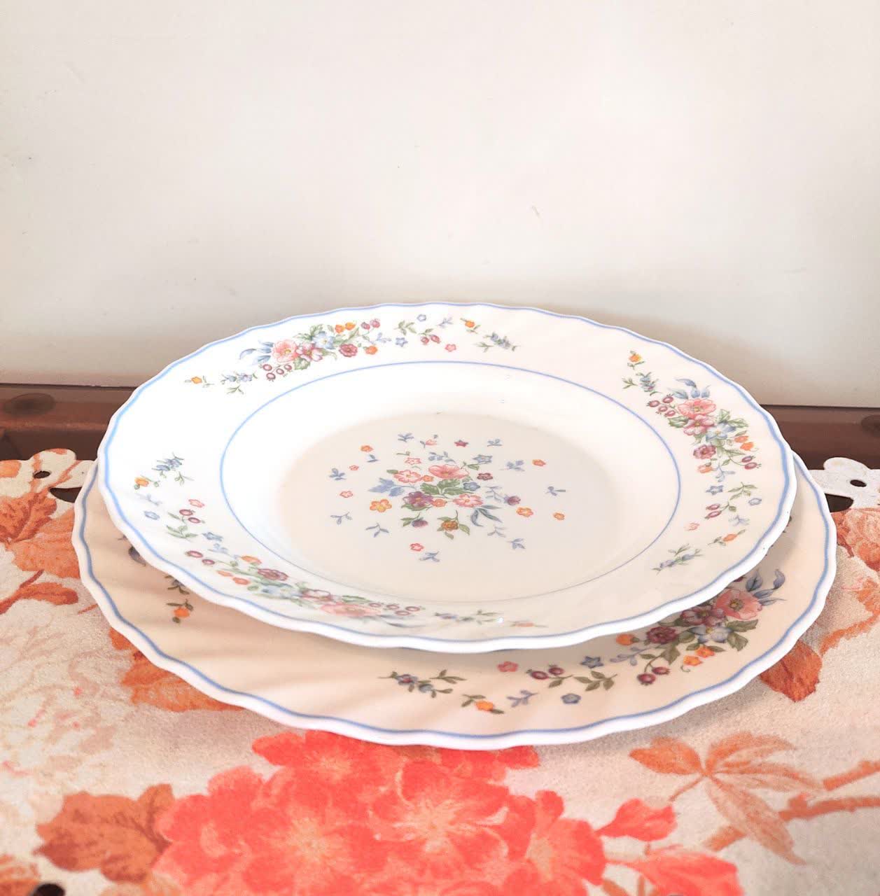 سرویس بشقاب آرکوپال لومینارک