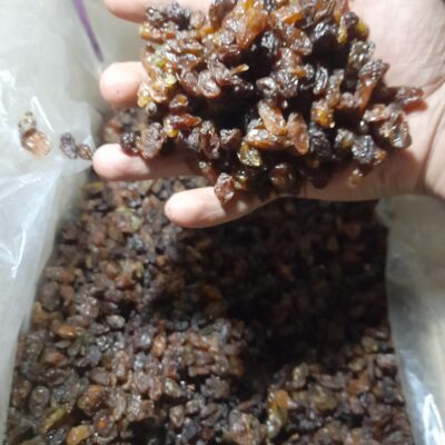 ۲۰۲۵۱۰۰۲_۲۰۴۶۱۴