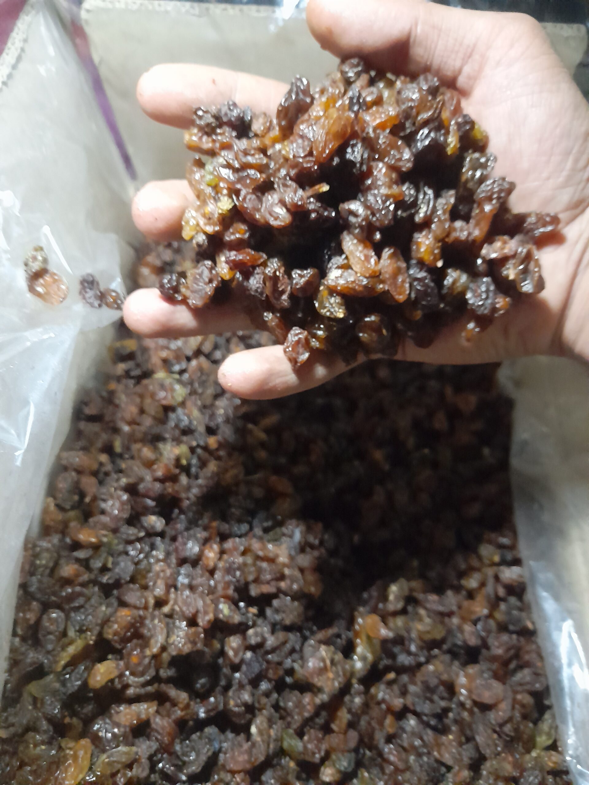 کشمش گله آفتابی آبگیری