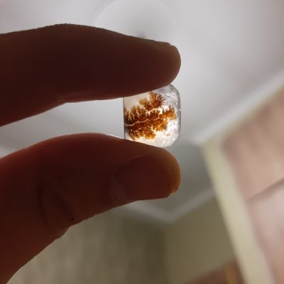 ۲۰۲۵۱۰۲۰_۰۲۰۰۲۰_۰۲۰۰۲۰