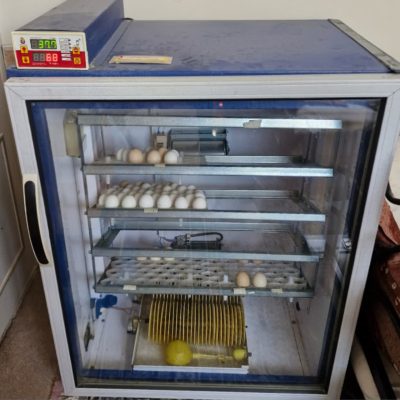 تابلو آگهی 26 1000005466