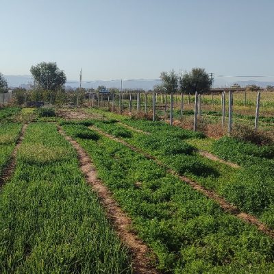 تابلو آگهی 28 1000040363