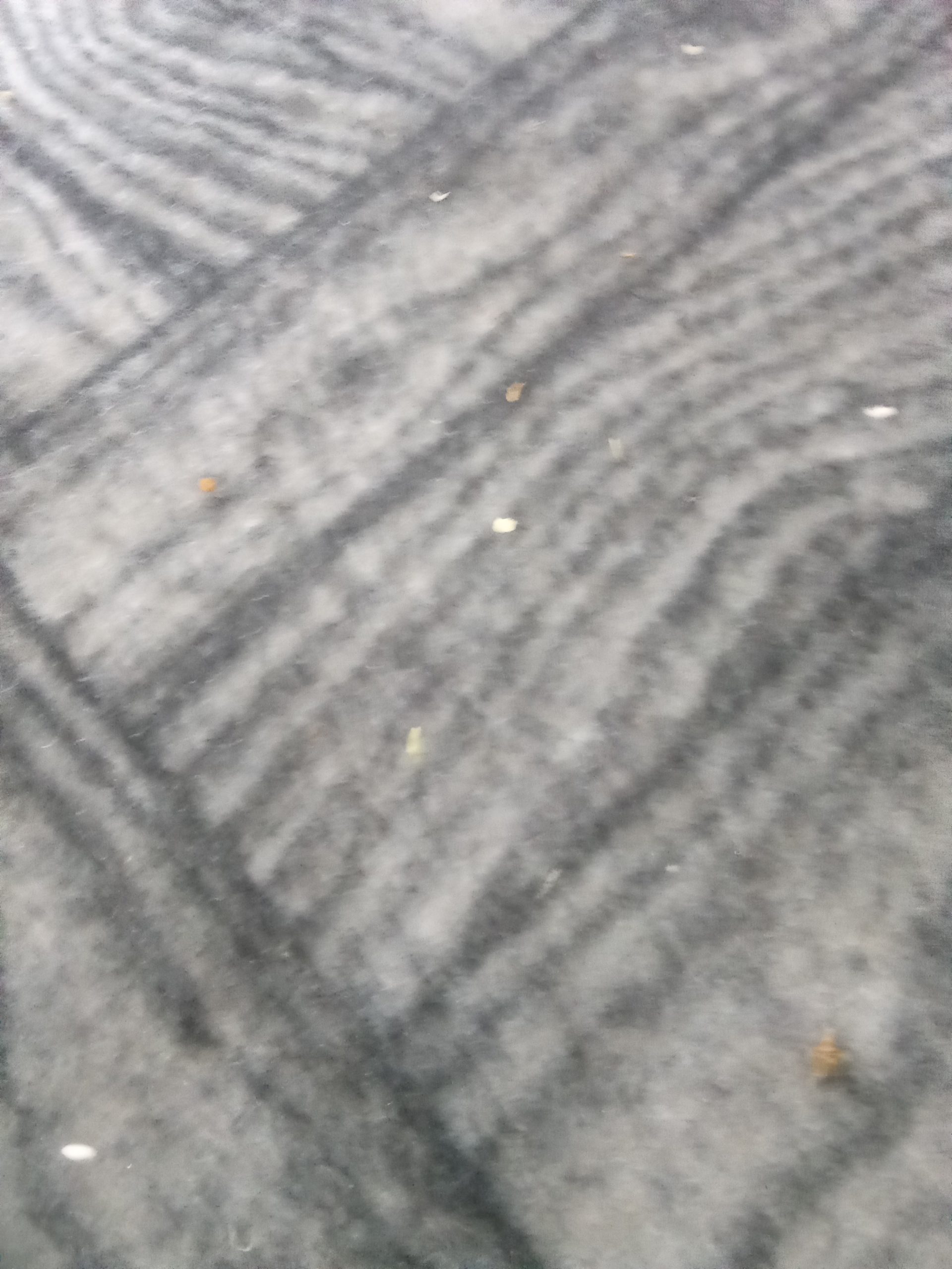 نیاز مند فرش هستم