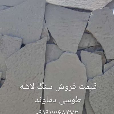 1000060697
