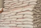 فروش عمده برنج پاکستانی